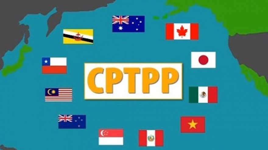 Law-making activities for CPTPP implementation under scrutiny